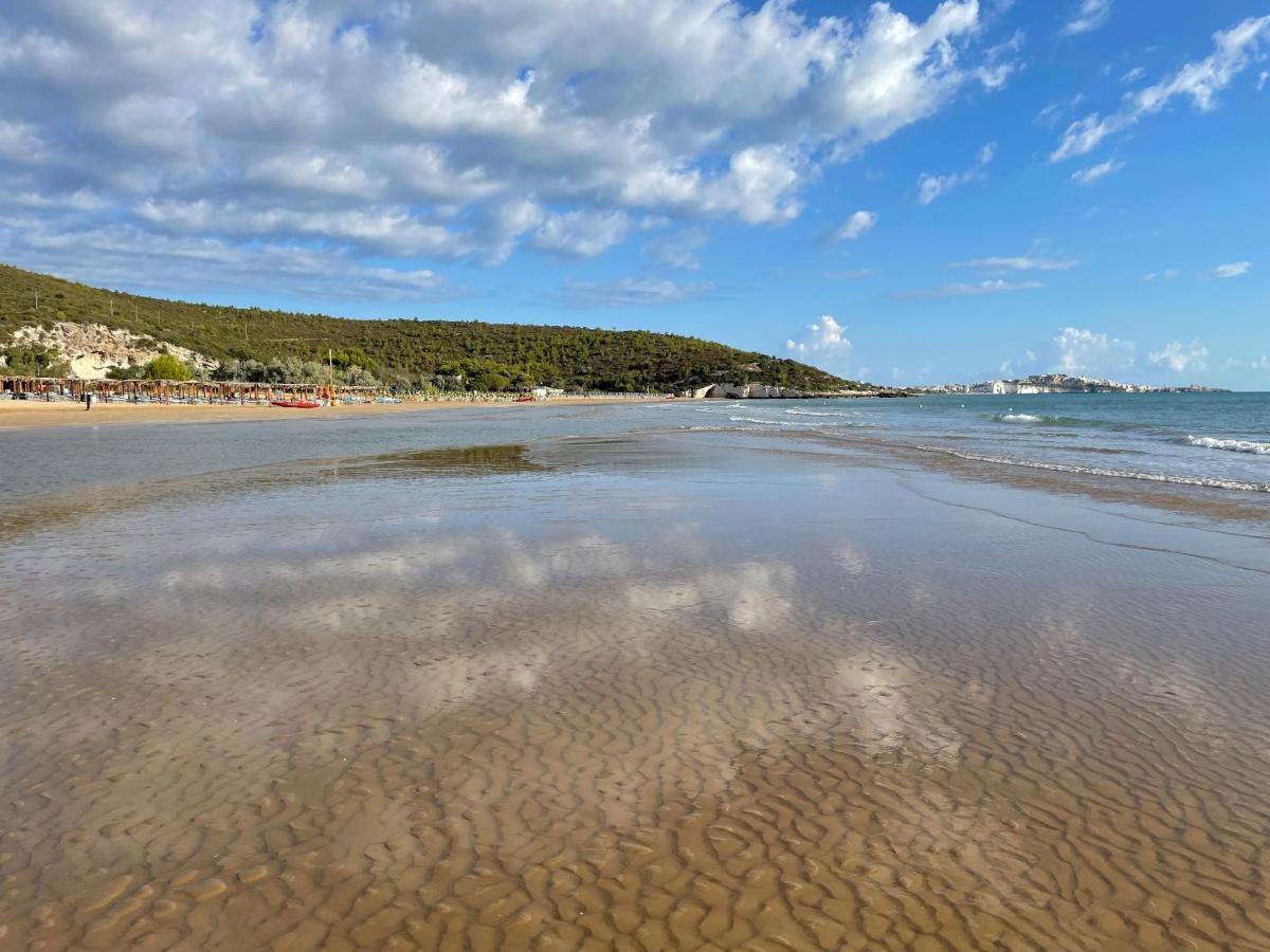 Hotel Portonuovo Vieste Zewnętrze zdjęcie